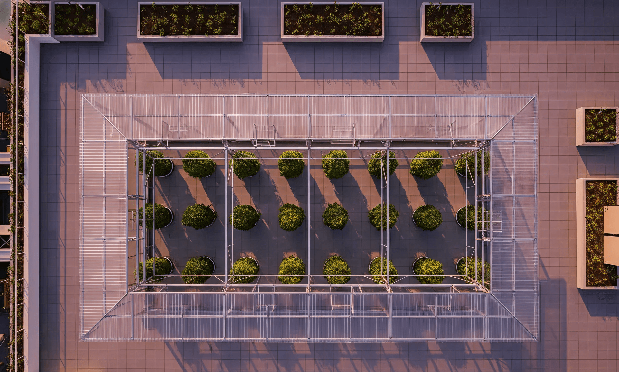 Aerial view of a rooftop hydroponic farm with organised growing rows